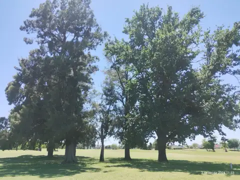 Terreno en Venta en Loma Verde, USD 120.000