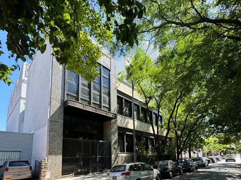 Local en Alquiler 50 años