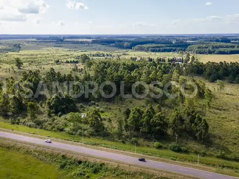 Terreno en Venta de 75000,0 m2