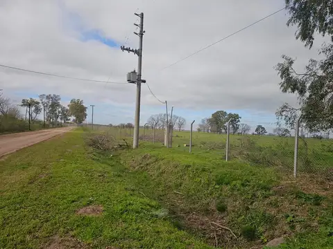 Ruta 52 Y Las Garzas