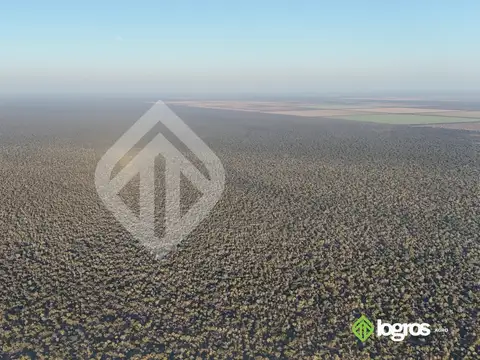 Campo en venta a desarrollar de 1944 ha | Anta | Salta