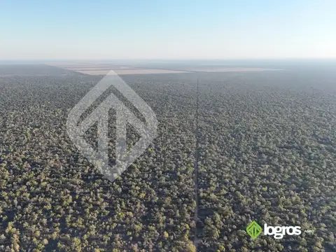 Campo en venta a desarrollar de 1944 ha | Anta | Salta
