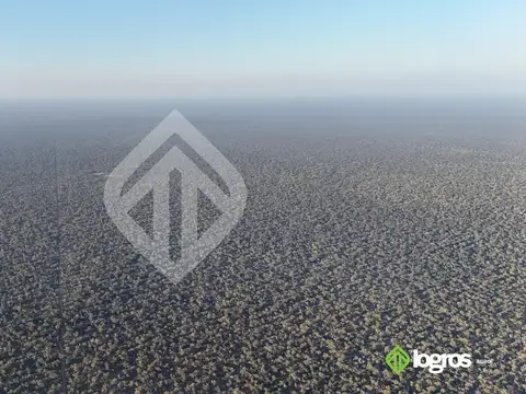 Campo en venta a desarrollar de 1944 ha | Anta | Salta