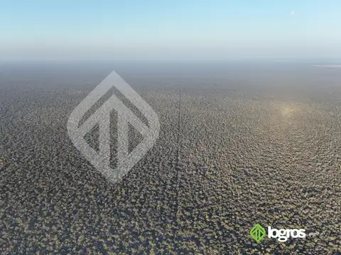 Ruta Provincial 41 | Anta | Salta 100