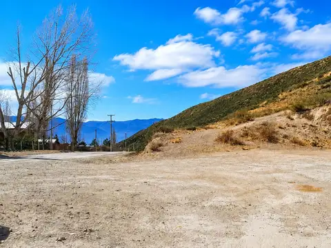 Terreno en Venta de 8800,0 m2