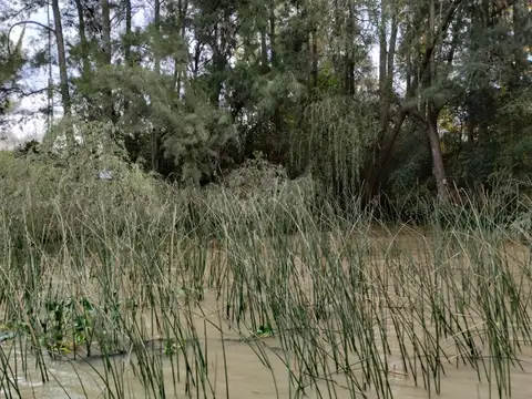 Terreno Lote  en Venta en Caraguatá, Zona Delta, Tigre