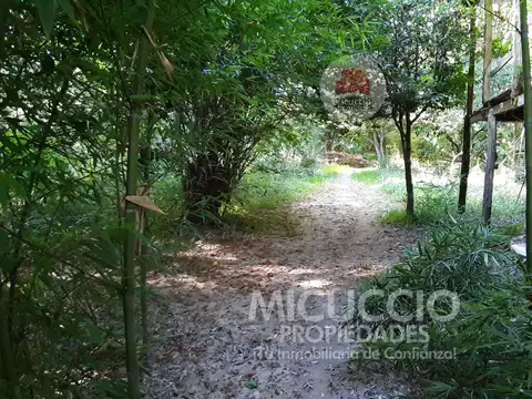Fracción de terreno en venta | Islas de San Fernando | Delta del Paraná