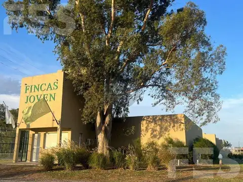 FINCAS DE SAN VICENTE JOVEN
