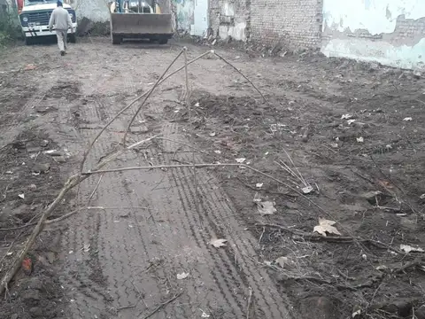Moreno 800