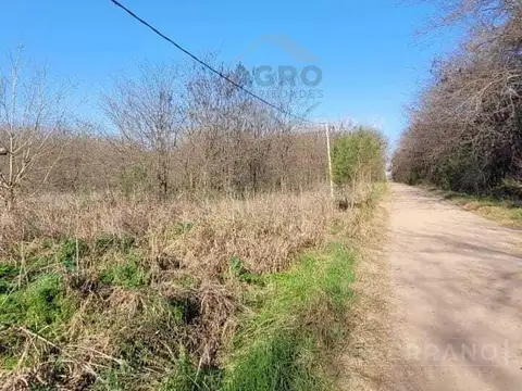 NOT. Venta de Campo Chacra Fracción de 2 Hectáreas en Pilar. Desarrollo Inmobiliario