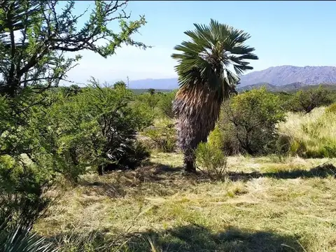 Terreno 5000M2 en Paraje El Recuerdo - Papagayos