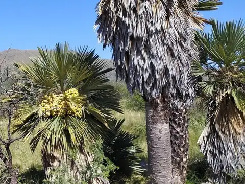 Terreno en Venta de 5000,0 m2