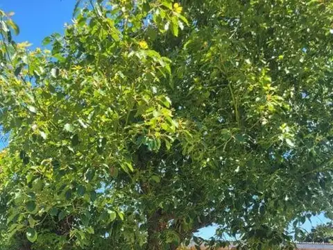 Casa en Venta al Noroeste