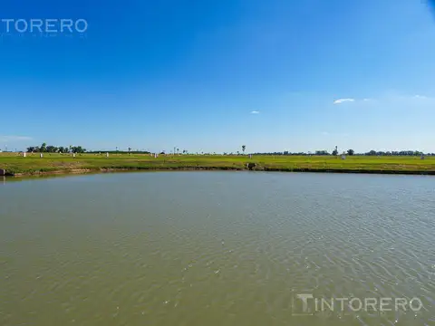 Terreno en Venta de 717,0 m2