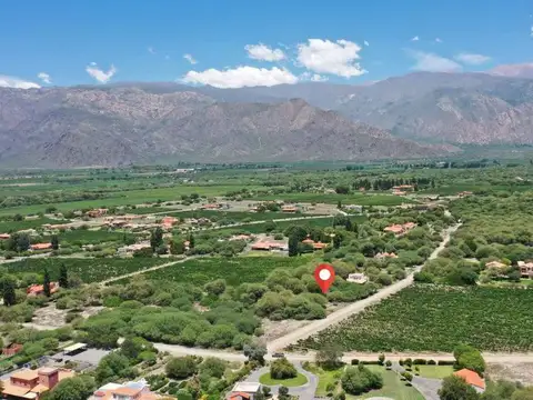 La Estancia de Cafayate 100