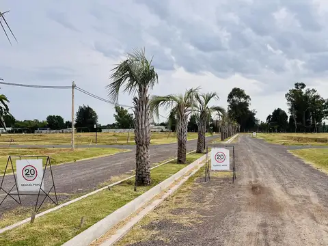 Terreno en Venta 20  mts Frente