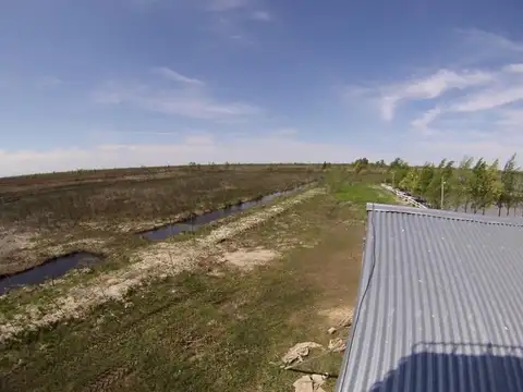 Terreno en Venta de 10000,0 m2