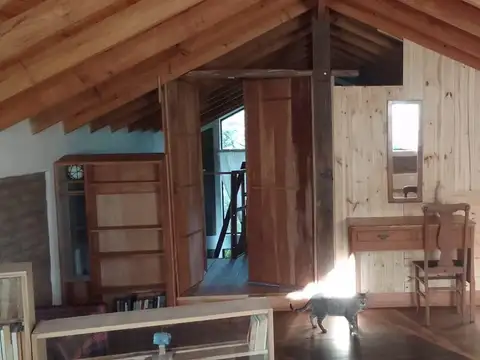 San Martín de los Andes 100