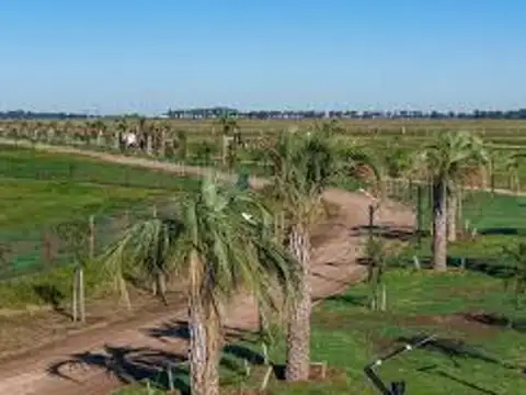 Terreno en Venta en Ibarlucea, USD 25.000