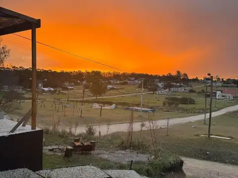 Estrella de mar 1094