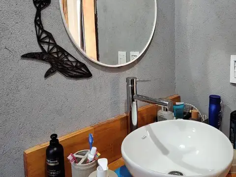 Estrella de mar 1094