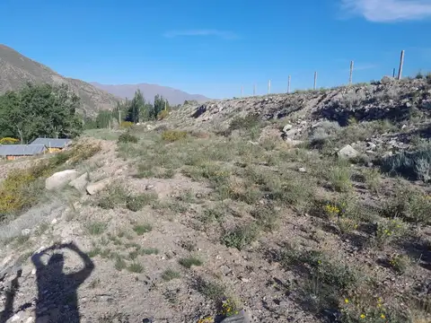 Terreno / Lote en venta de 2954m2 ubicado en Potrerillos