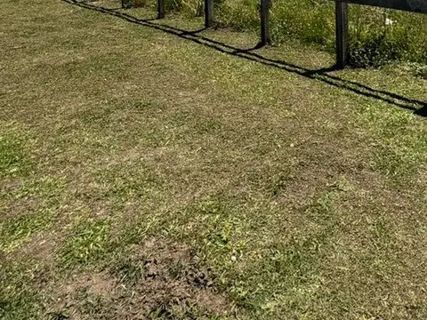 Terreno Lote 4500M2 Mercado Agronegocios Cañuelas 