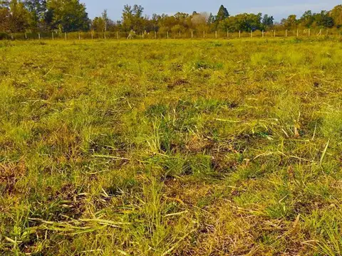 Terreno en Venta en General Rodríguez, USD 70.000