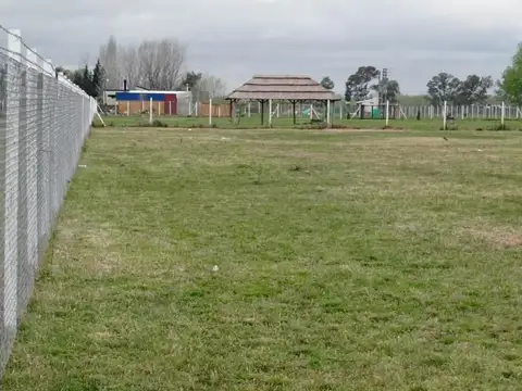 San Francisco de Asís y San Agustín