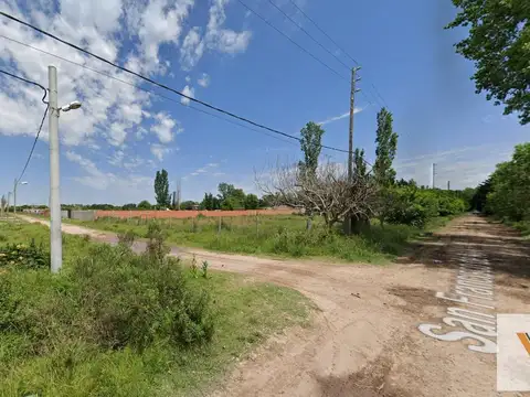 San Francisco de Asís y San Agustín