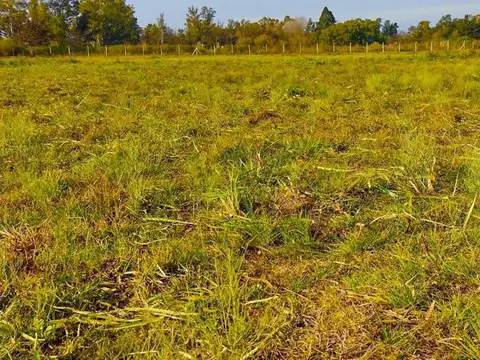 Terreno en Venta en General Rodriguez, USD 70.000