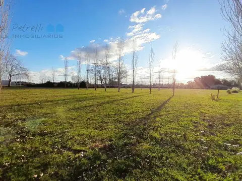 Terreno en Venta 50  mts Fondo