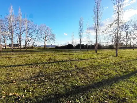 Terreno en venta de 1586 m2 en Barrio Cerrado Lomas de Petion - Alejandro Petion