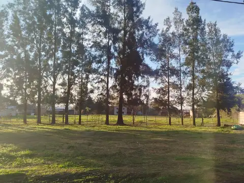 Terreno en Venta 30  mts Fondo