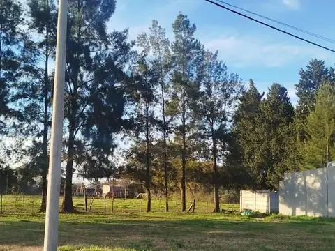 Terreno en Venta 10  mts Frente