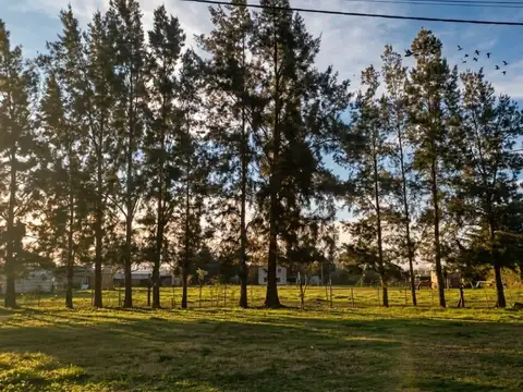 Terreno en Maximo Paz