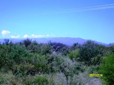 Campo en Venta Mixto