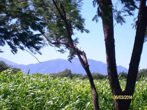 Chacra de 8 hectareas  Excelente No la pierda