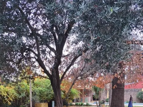 Lote en venta en Marcos Paz