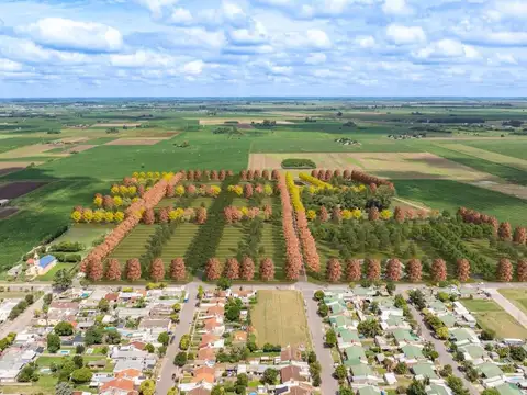 Terreno en Venta en General Lagos, USD 25.500