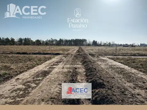 Venta-Terreno  - Piñero