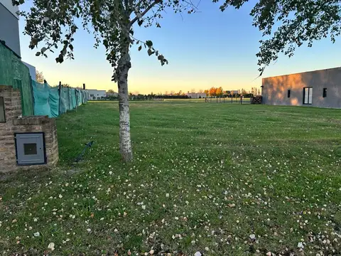 LOTE HARAS DEL SUR III