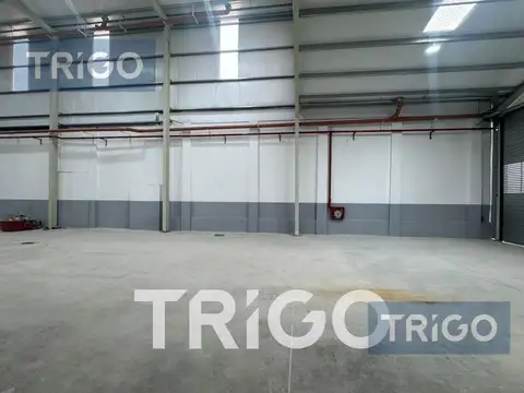 Deposito Galpon en Alquiler de 800 metros en Parque Chas Villa Urquiza Villa Ortuzar CABA