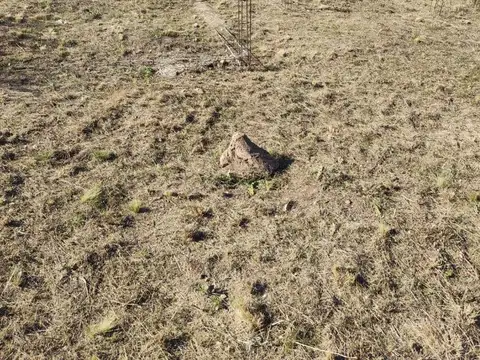 Terreno en Venta de 1382,0 m2