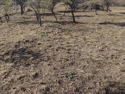 Terreno en Venta en San Lorenzo, USD 16.000