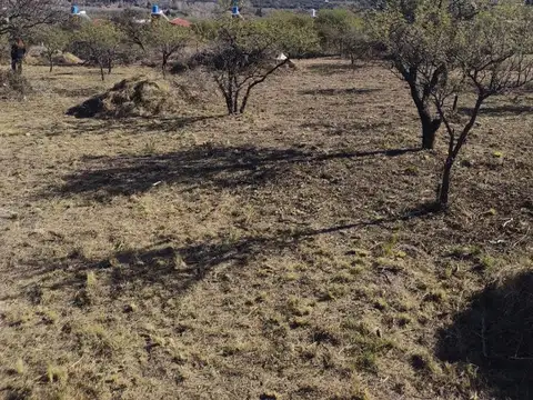 Se vende terreno en san lorenzo