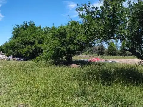 Terreno en Venta de 38183,0 m2