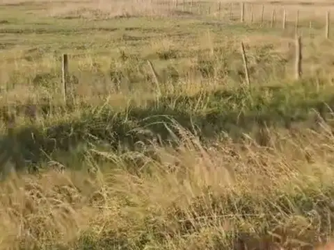 Terreno en Venta en Dolores, USD 35.000