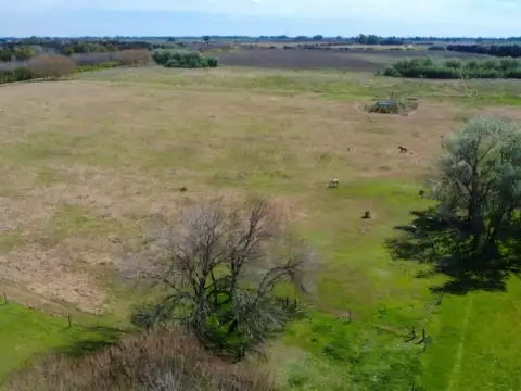 Terreno en Venta de 15000,0 m2