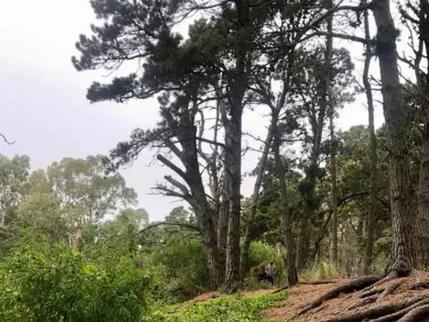 Venta de 2 lotes en block - Mar Azul